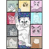 idol singer-GS  2134